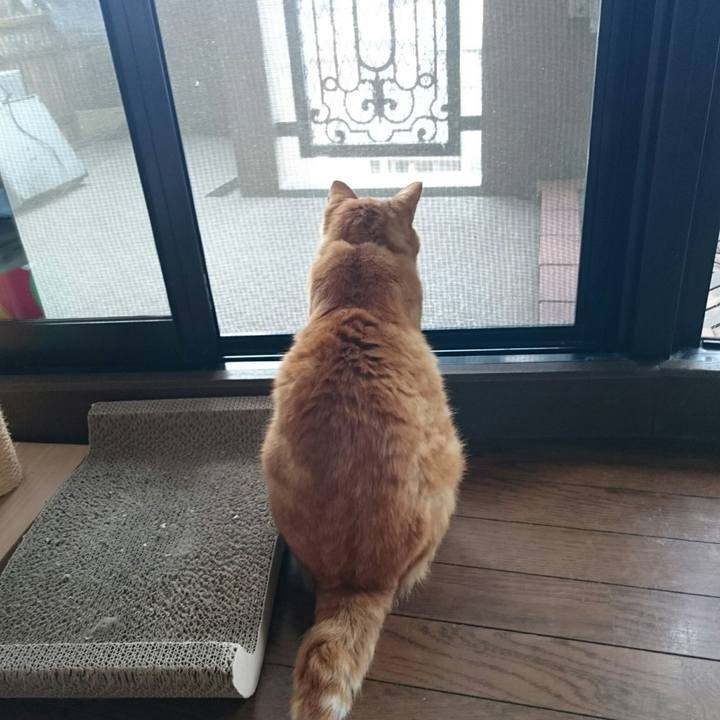 6d003255 01a2 42f0 a728 c9624ec27c08