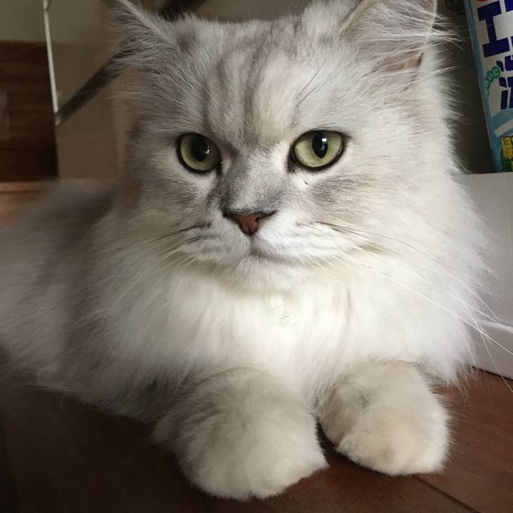 6d00b7e6 0b52 40e3 9e21 f04054abba2e