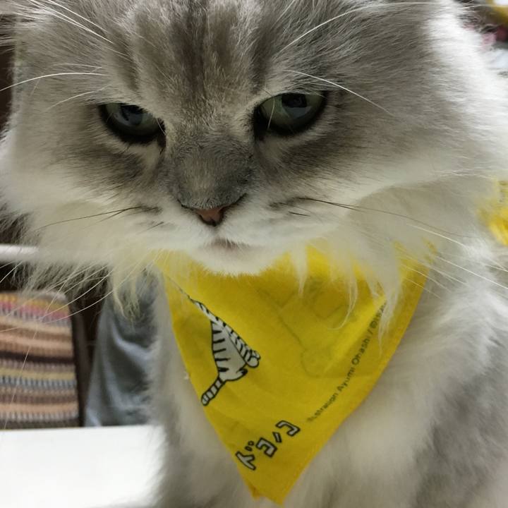 6d011675 262d 45ed 816e 3c9df84ac566