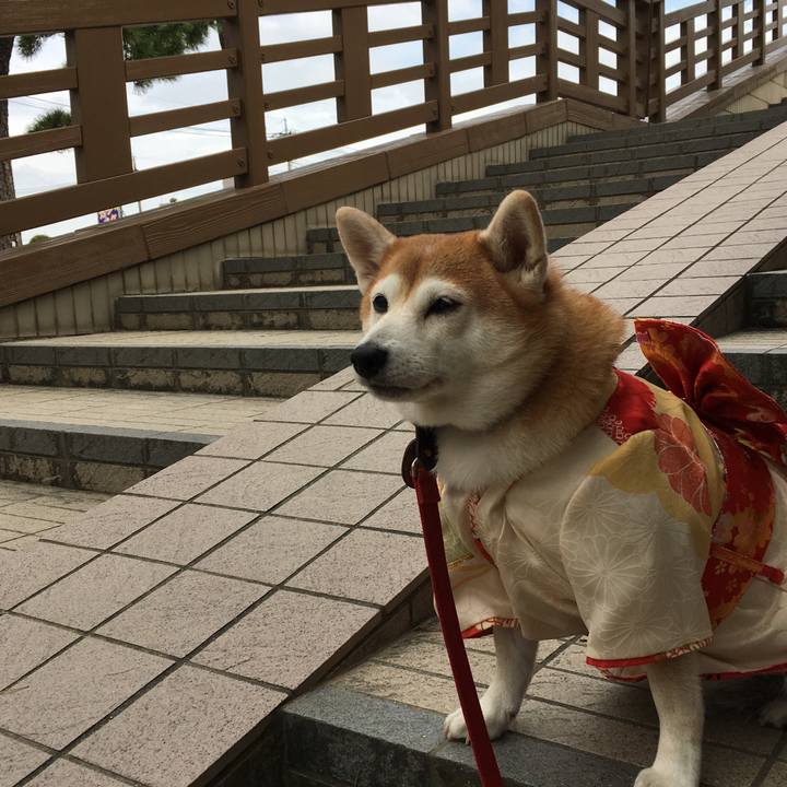 6d0198ce 3e46 46d7 9c0f 6a7c0a5abbbb