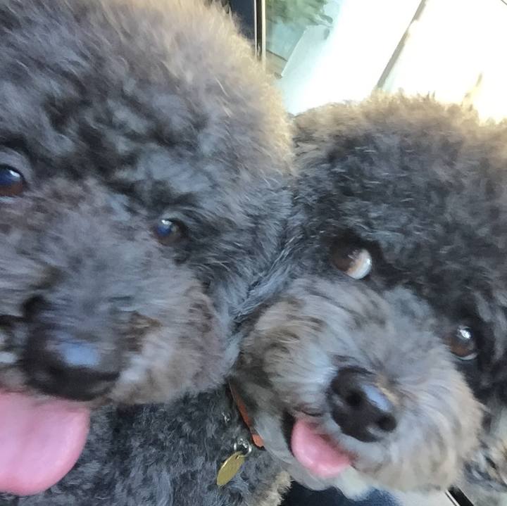 6d0288b3 f28c 462e b4cf 4f56bfadcfc0