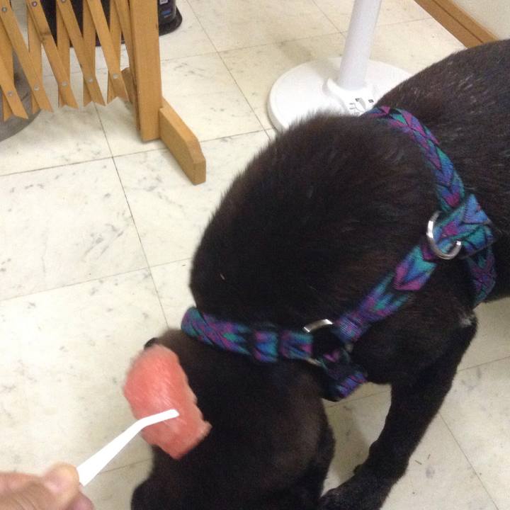 6d02a0fa 55b7 4f72 898d 966c075ccf32