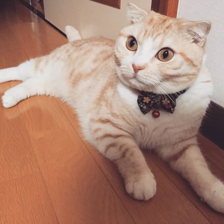 6d02cb48 22f8 4eb6 ba7d 859a0b86a6a0