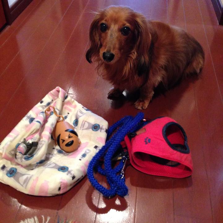 6d036b13 f34c 4442 bb21 289d70358d58