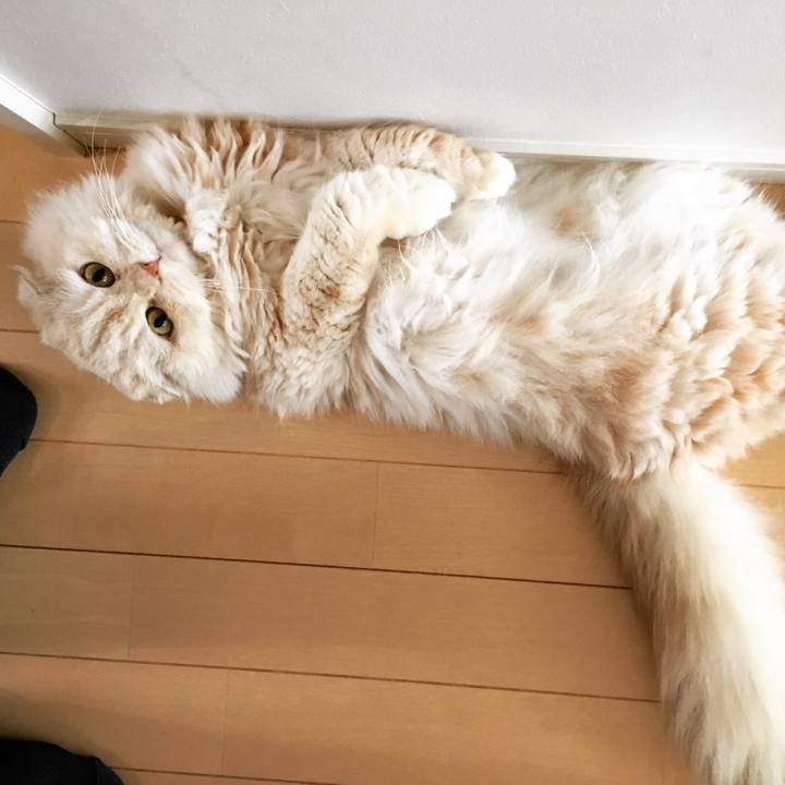 6d04896b 332e 4834 b5b7 393110cc8f97