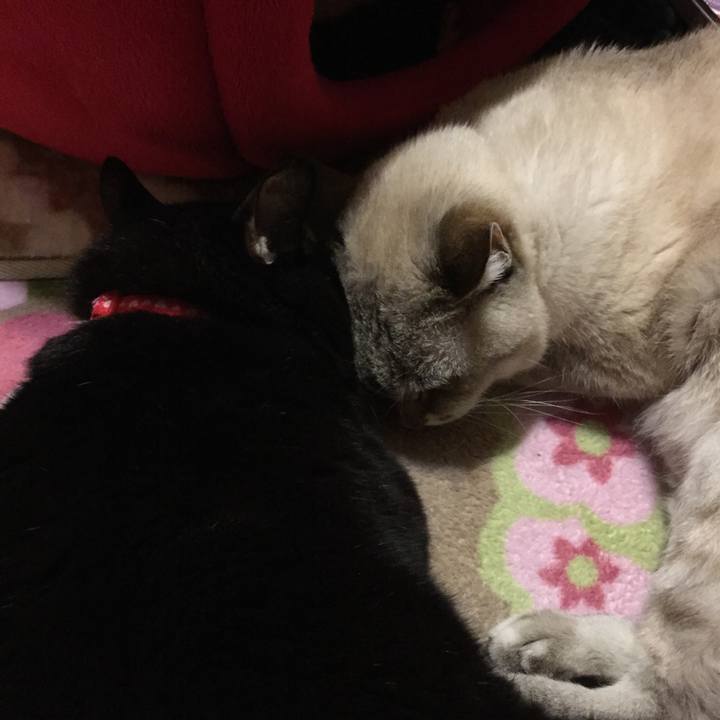 6d04a7d3 7bfe 486b 9326 a5c219b68247