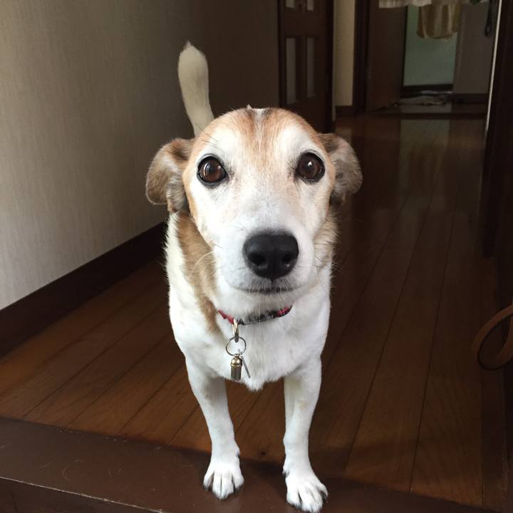 6d04b966 7b3e 4d2a 9153 40272b4ad7f9