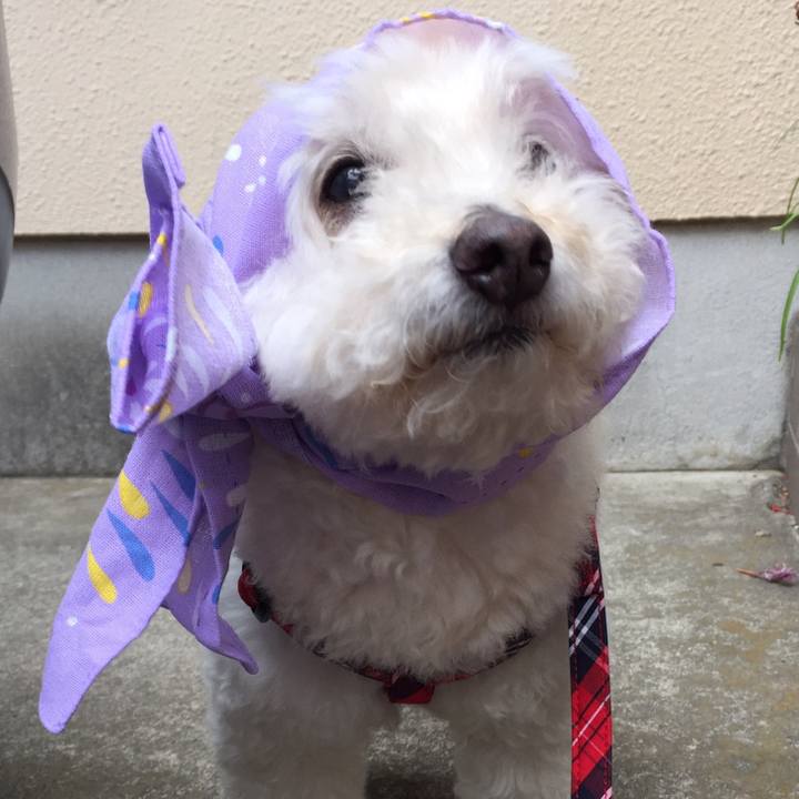 6d04fc65 f457 4344 89a5 ecce2c401d6c