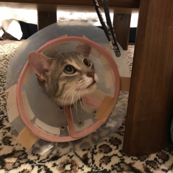 6d05adbc 7759 46f3 b6d2 78f28472fdb6