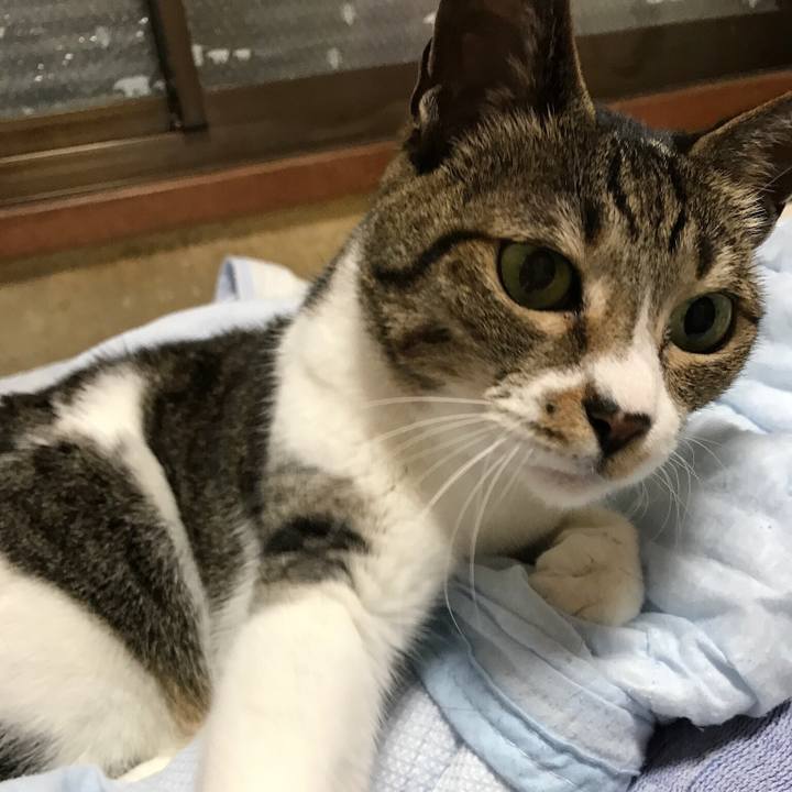 6d07d80a 97e8 43cc 9088 f8a5af2455fb