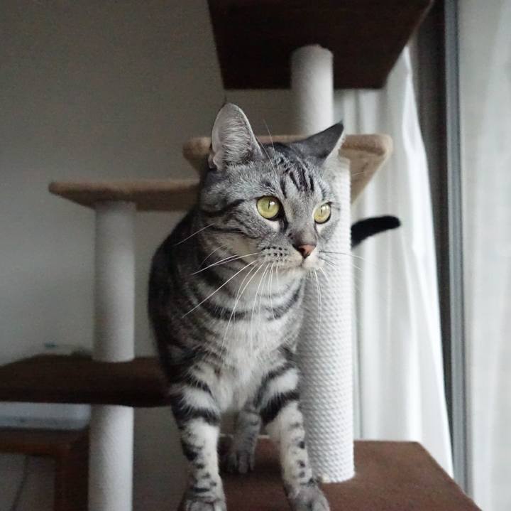 6d08317a 5fca 433a 8dbf 38a8ac4040c6