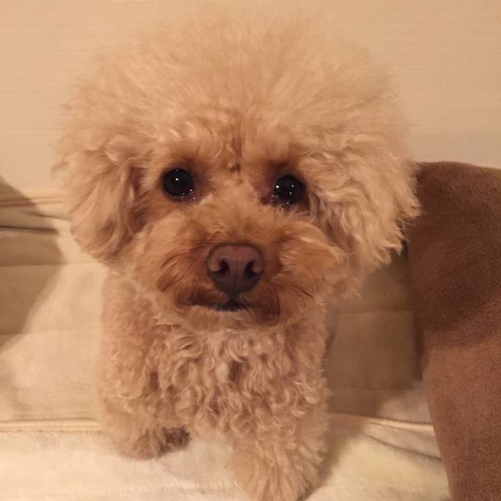 6d08416e 118e 40be 89c6 4c524d2eed8b