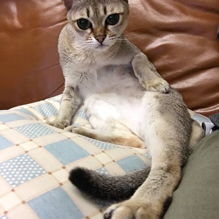 6d084d2c d748 45b5 b952 a3b942b8129a