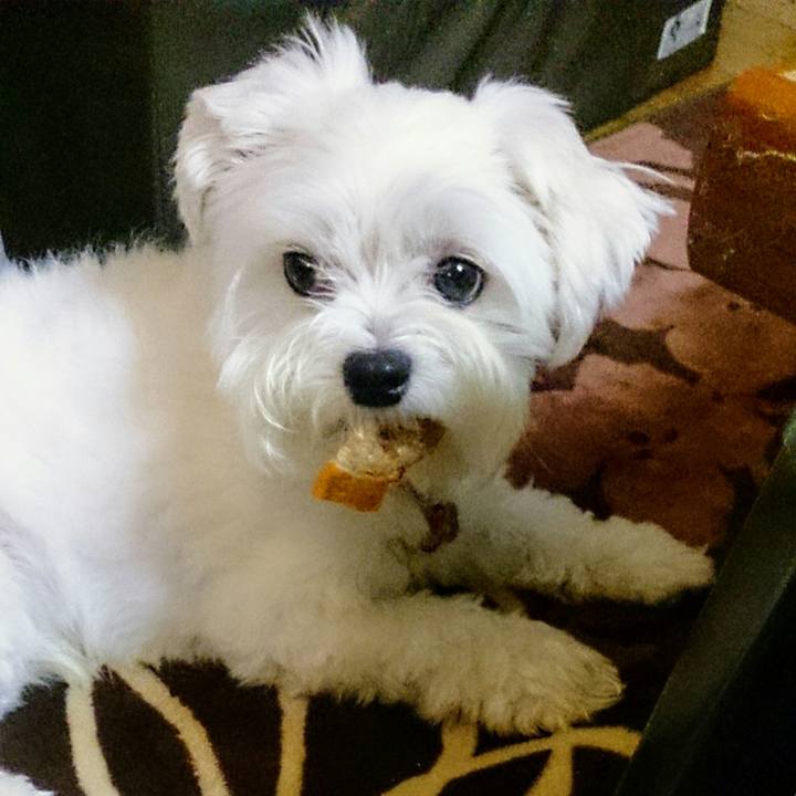 6d08dfdb 049a 4809 bcc8 d41074663196