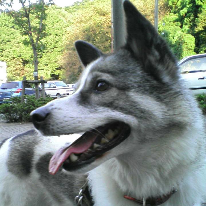 6d090094 436f 4614 b451 6e8a8dd01058