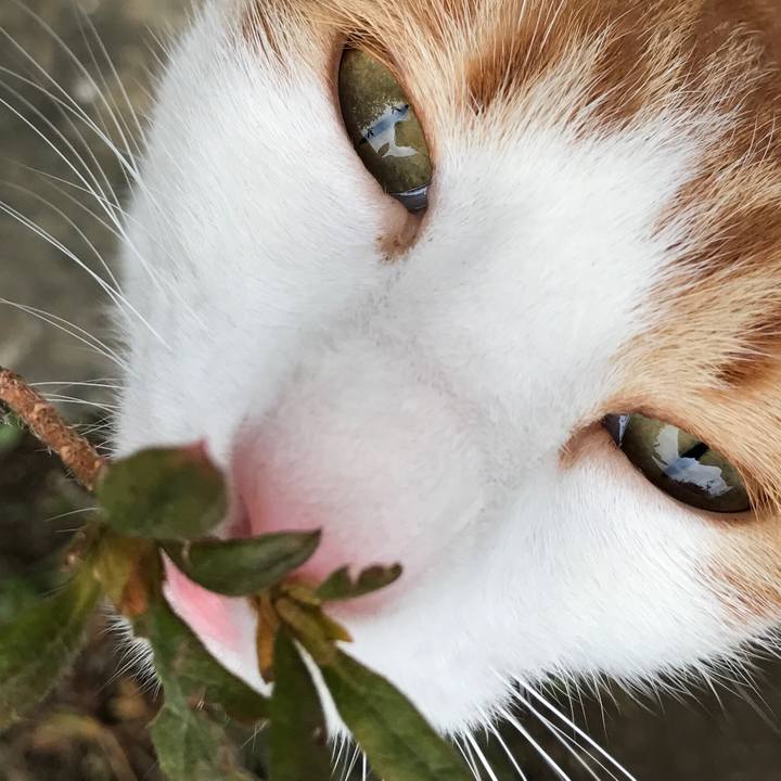 6d09a6ff 1ebe 4697 b6ea 0dc8c4ee72d9