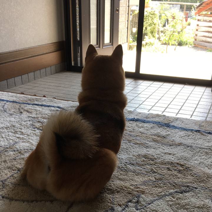 6d0a129f 26c6 498b 9e2d 6f59dedc3da7