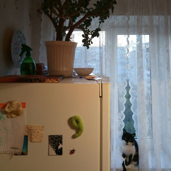 6d0a4d22 3b59 4ac2 922b 1c75e776958b