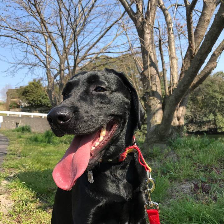 6d0a88a0 9cbb 4bf8 abfc 7c6785a88e23