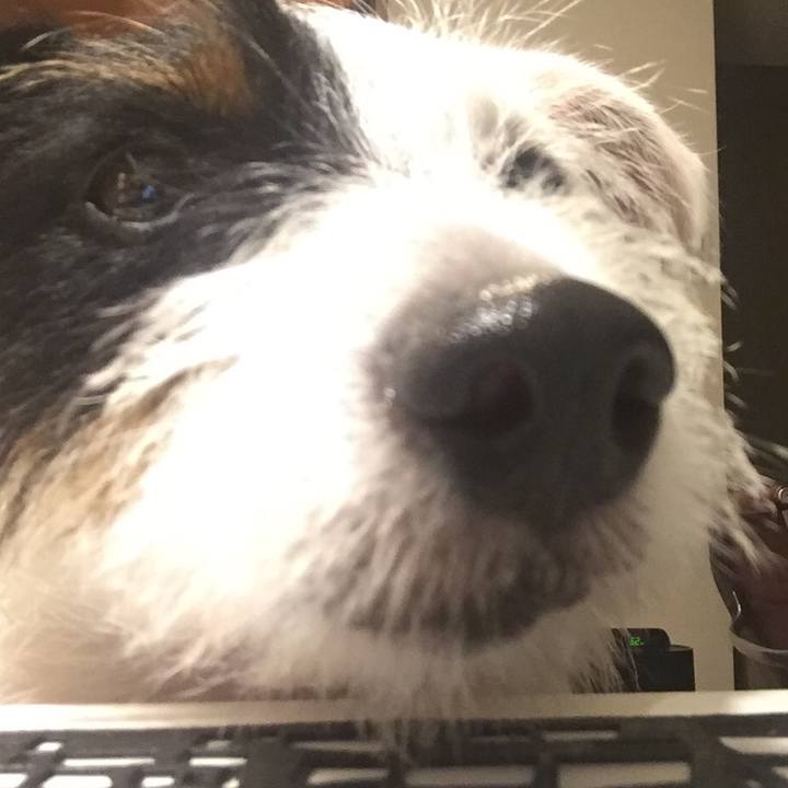 6d0ac129 1fa5 48c9 8f59 c592170ab7cd