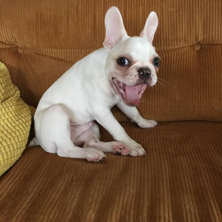 6d0afec4 1013 42c6 b34c 04446f941fd5