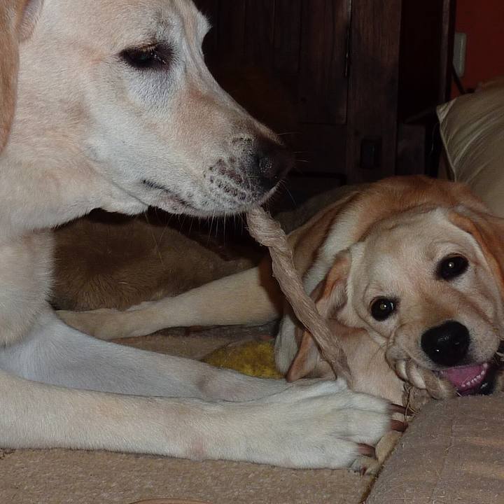 6d0b81cd 078a 4053 99cd cdabe5a93264