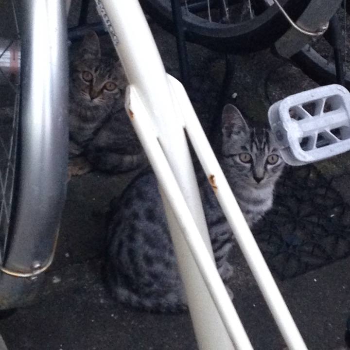 6d0b99e1 8df5 4561 ad52 f968894a16ee