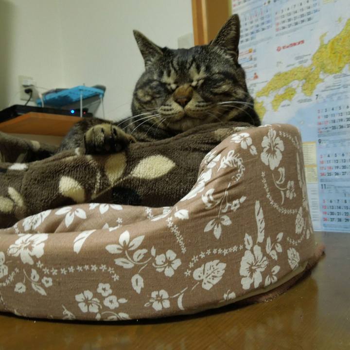 6d0b9ca2 8539 4f14 8e54 87a9a02c07b4