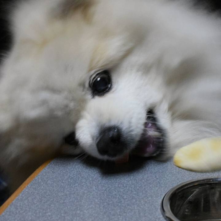 6d0baa26 91e7 405f b09a 4239c8b5b7a9