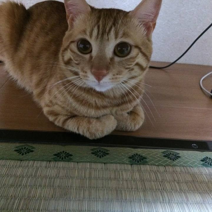 6d0c8a6e 6453 424a 9bbb c8ef5e135513