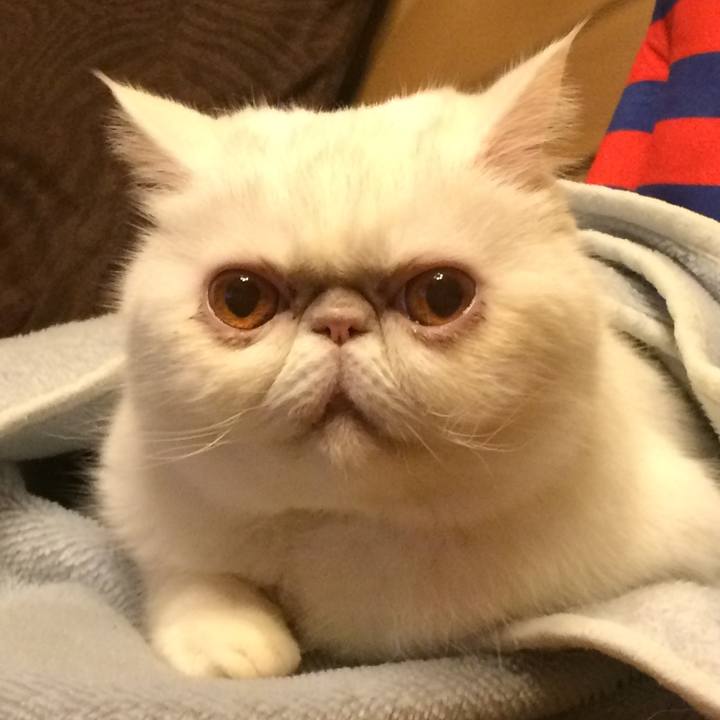 6d0cb5bc 9f91 4c3c 811d 3110e5bbeb8a