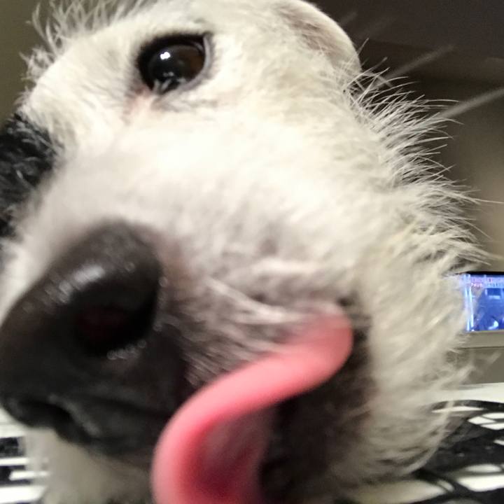 6d0cc4c8 e407 4e4b 9e62 555ab3205b75