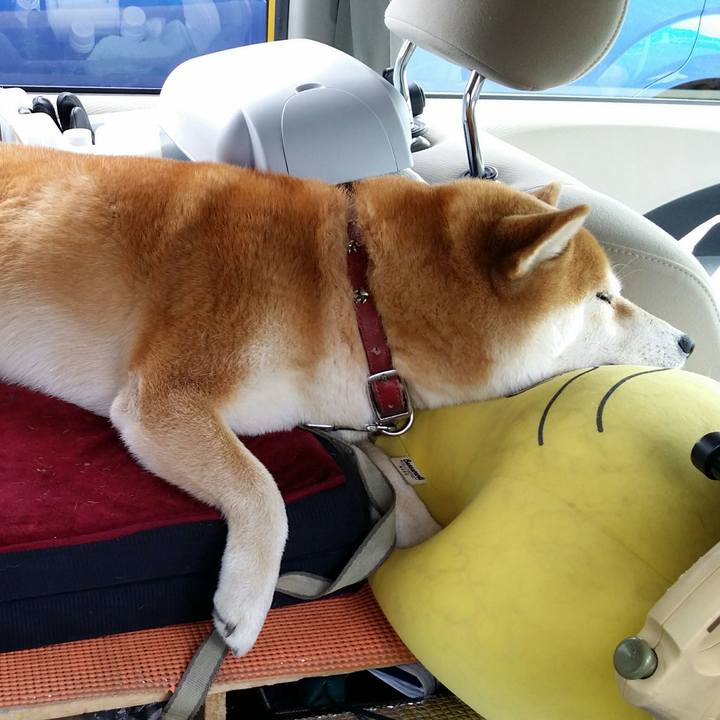 6d0df7dd 63cd 4628 9862 af80b7ee7302