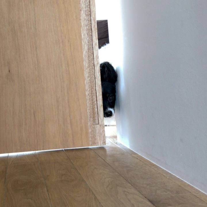 6d0e10cc 597d 49cb 8bdb 107d8d32bff3