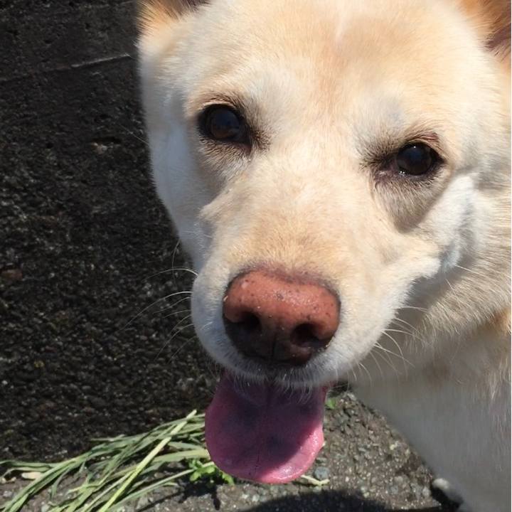 6d0e6eed 4e33 4668 9441 1349d9bf4bce