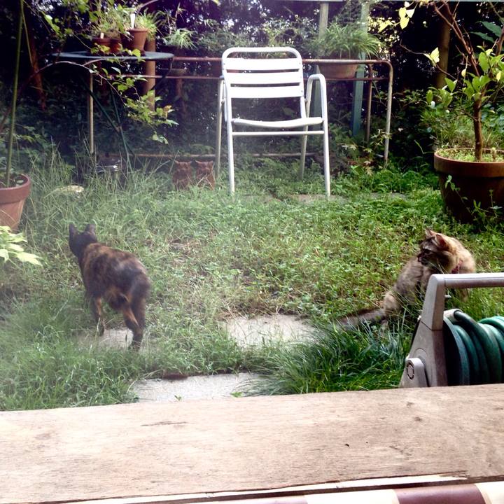 6d0e899b 6e35 4257 9a1b 62ddc8c73900