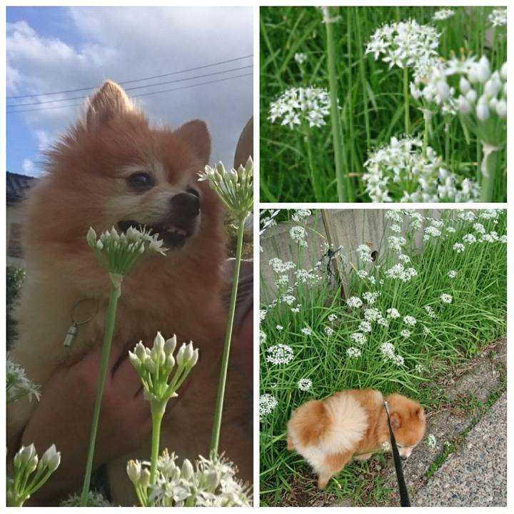 6d0eaef3 e9e5 4497 9a25 14b52df2d8b7