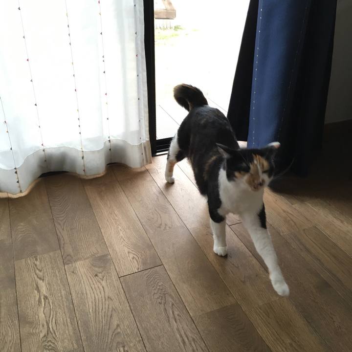 6d0ede3d 8d8f 464d ae28 6d1875f48070