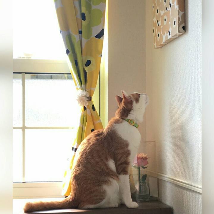 6d100db4 b5ac 482f b0ac 8d36f80c7f83