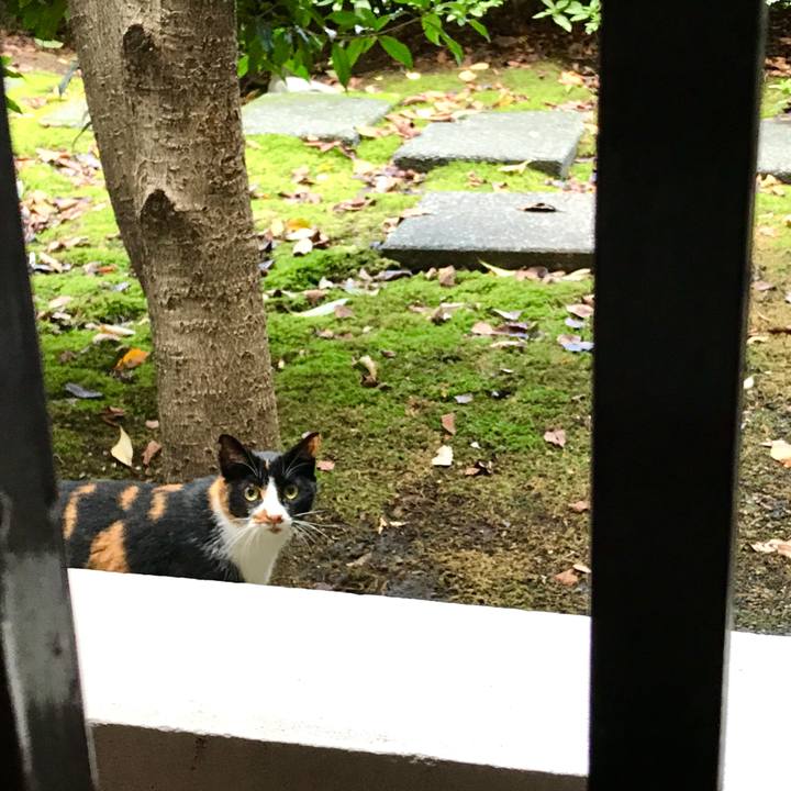 6d116afb 33eb 45b5 b063 3c0da65aa02a