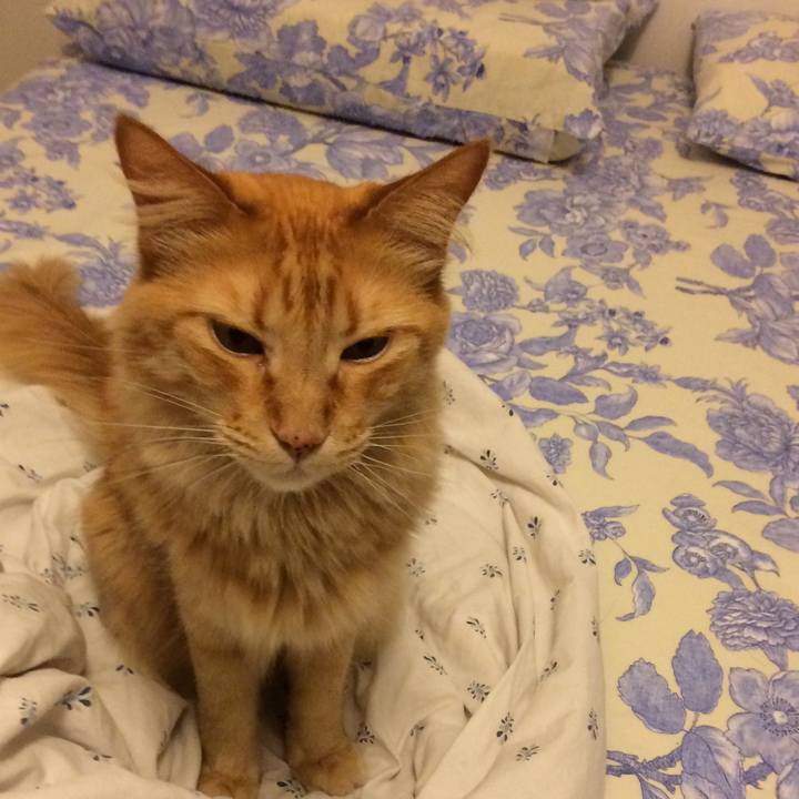 6d11e749 b09c 4822 b536 dfa1b80915c9