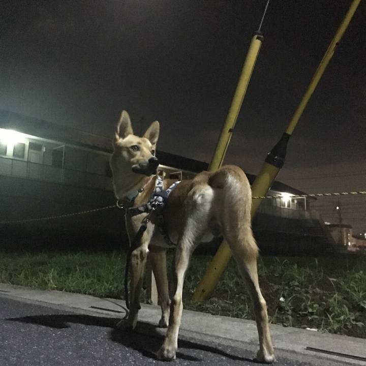 6d11ec43 50ce 4f66 8e25 c5ebb7f873e0