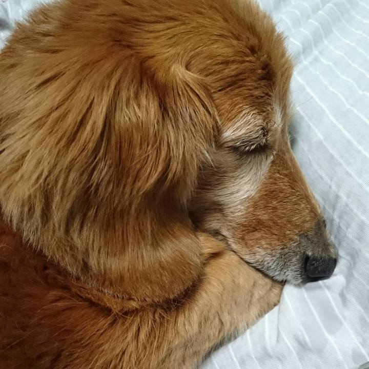 6d12f736 06ce 4f82 a64f 78e63c69f87e