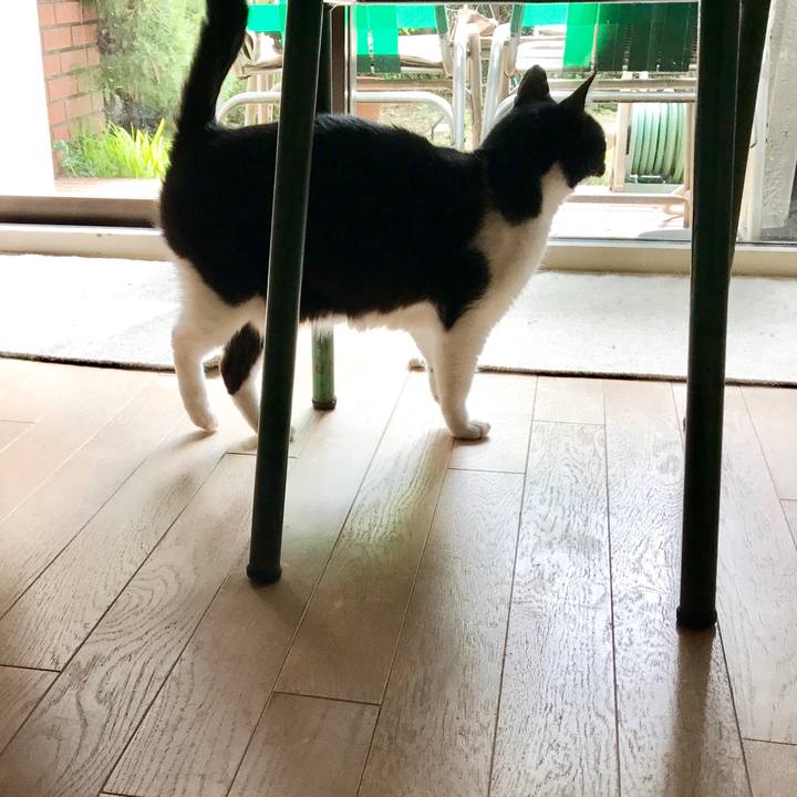 6d1370c5 715a 40d7 9237 c132e02b9b00