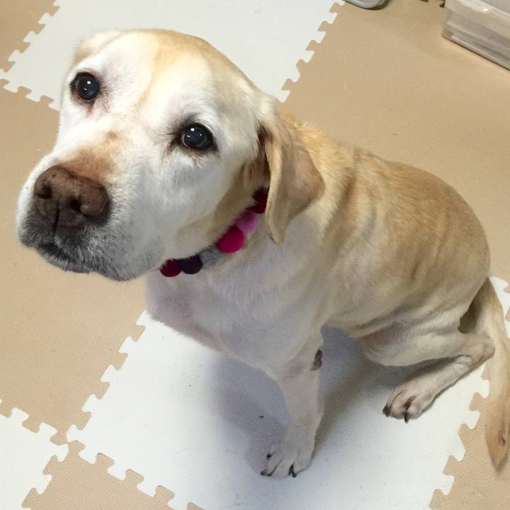 6d13f2ae fe9c 4256 882c 3afa922830af