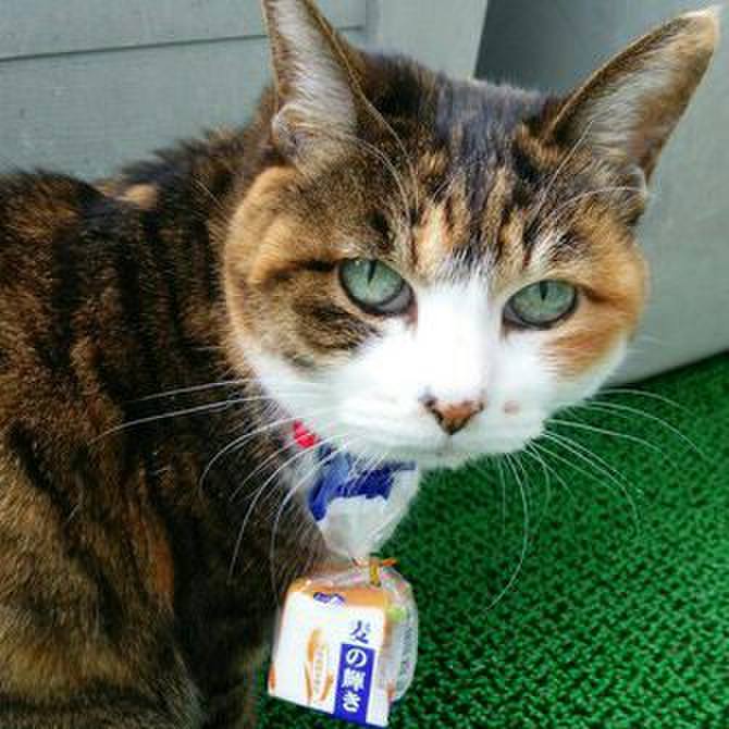 6d145b96 4978 4f22 aa8c 1614dc14ceb4