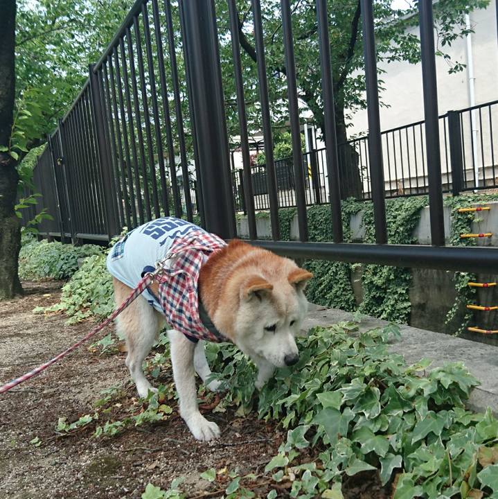 6d14830e be28 4fb4 a2af 2af84c7b476a