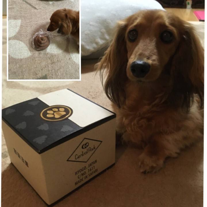 6d14f0d3 fb1e 4cf8 9448 5dfabfe360e6