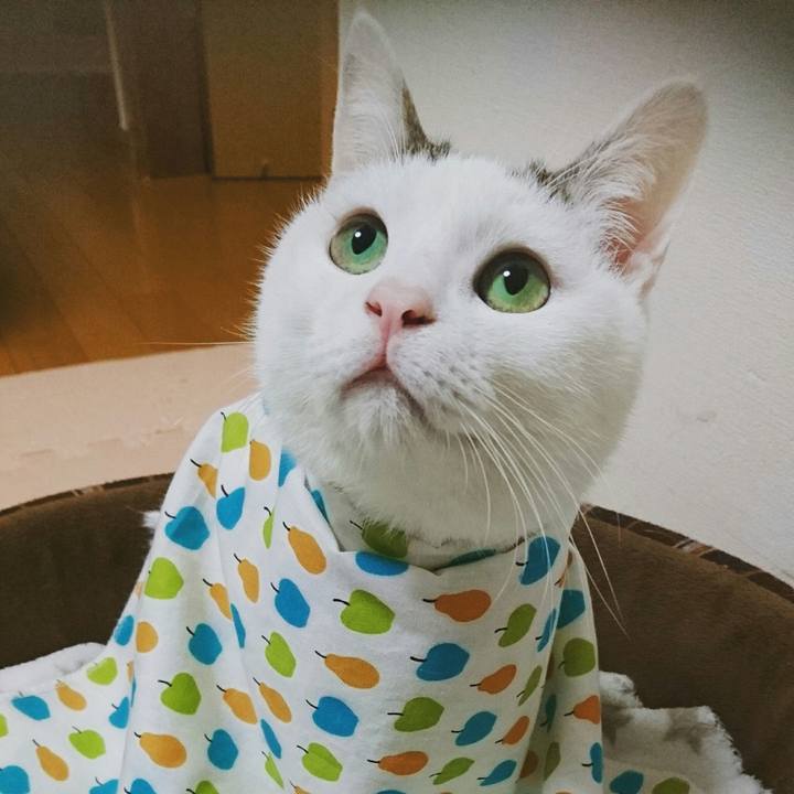 6d15123e bee9 4254 b3a8 1020d0728af4