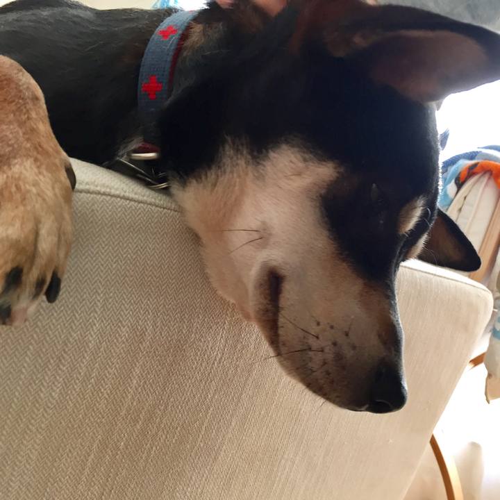 6d1649b7 dbe2 499e 8c69 d24ae46a3c1b